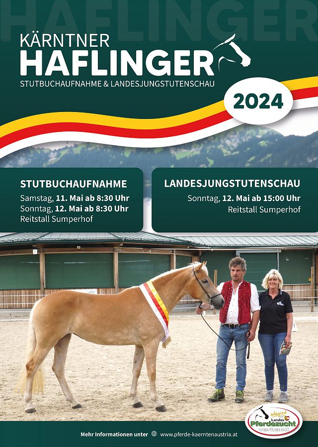2024 Haflinger Stutenbuchaufnahme (2)