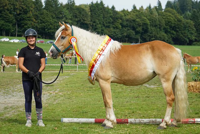 Naomi, Siegerin Umgänglichkeitsprüfung 2025 und ihre stolze Pferdeführerin
