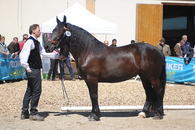 2011 - Belissa