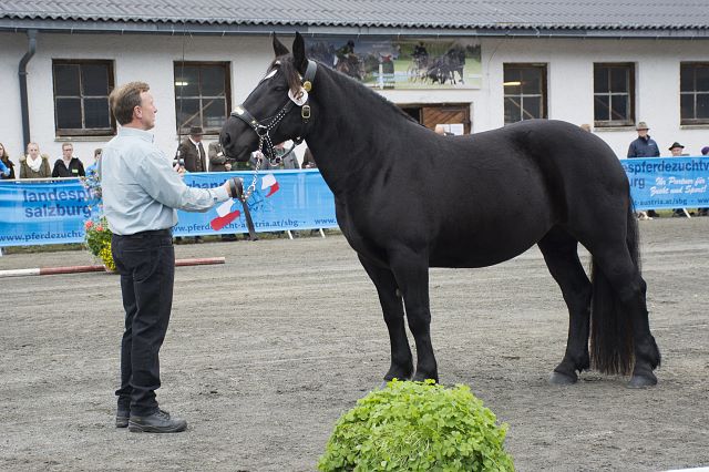 2012 - Bella