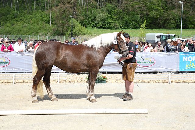 Pferdeweihe Agoritschach Lea Jährling - 26.12.2006 erstes Pferd zum 40er