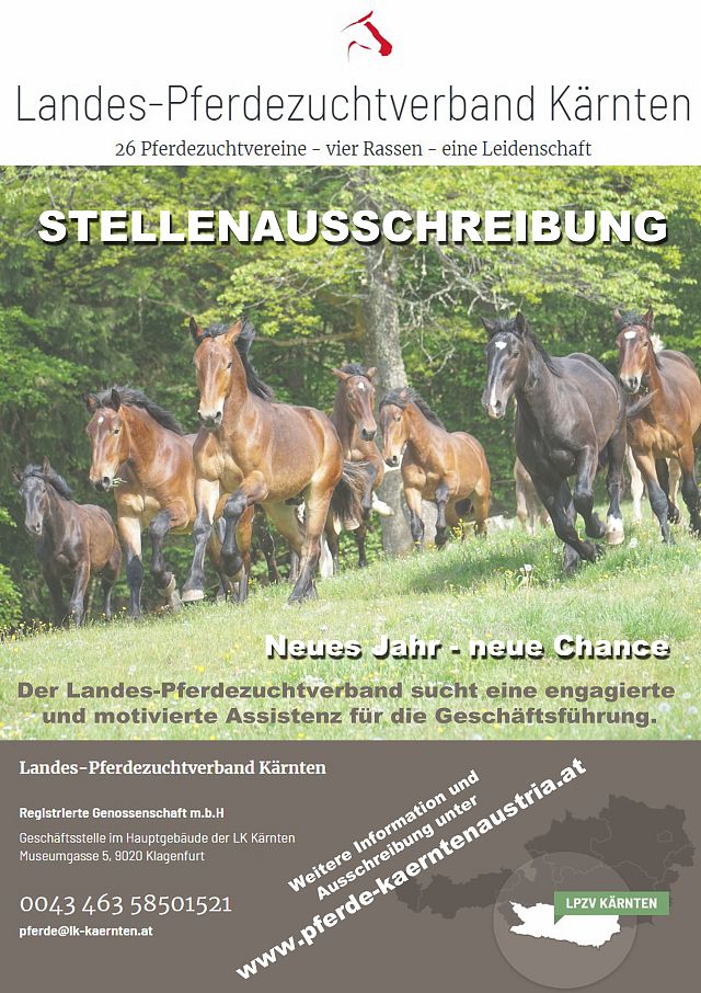 Ankündigung Stellenausschreibung