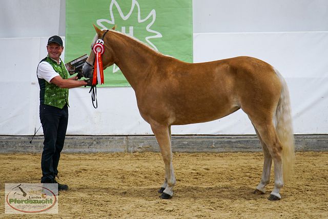 ARGE_HA_BuCha_2025-09