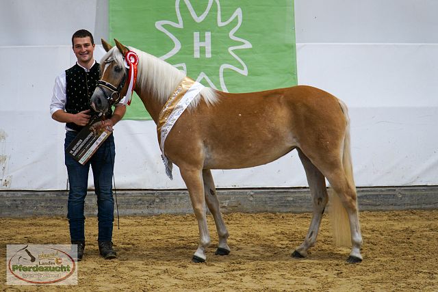 ARGE_HA_BuCha_2025-12