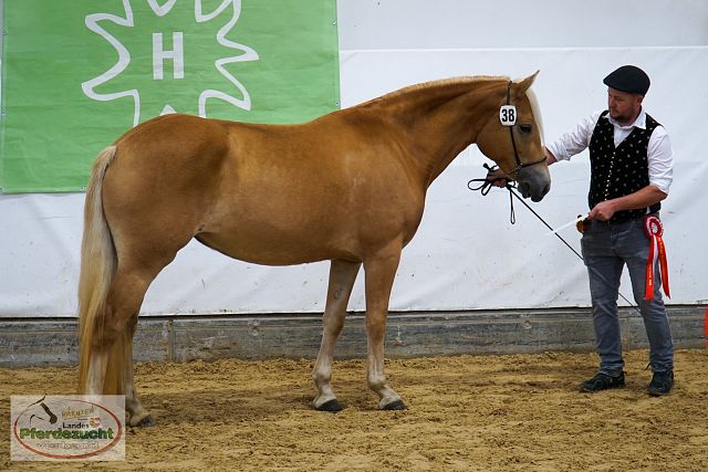 ARGE_HA_BuCha_2025-14