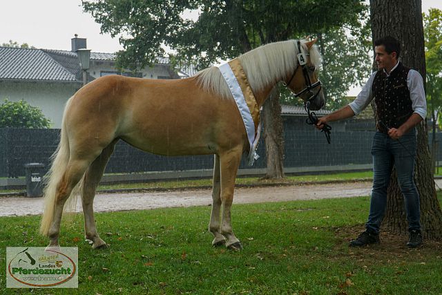 ARGE_HA_BuCha_2025-22