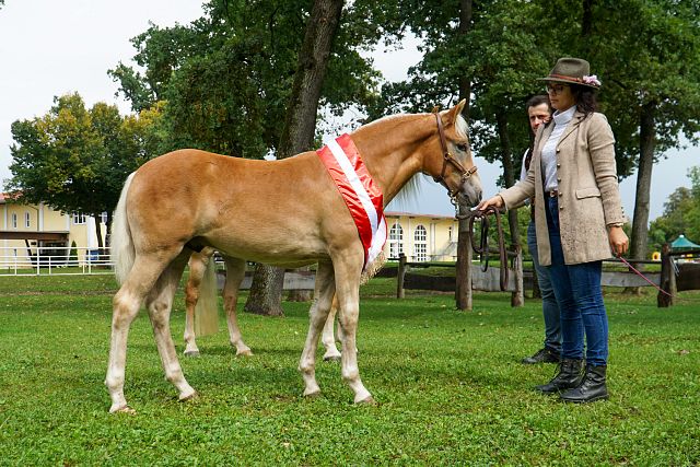 Standing Ovation_Schneider