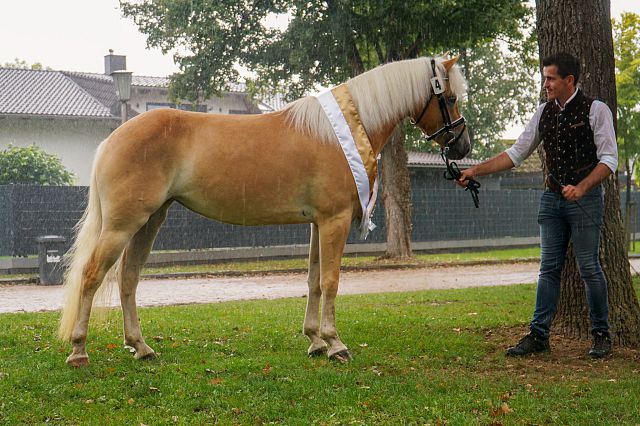 ARGE_HA_BuCha_2025-02