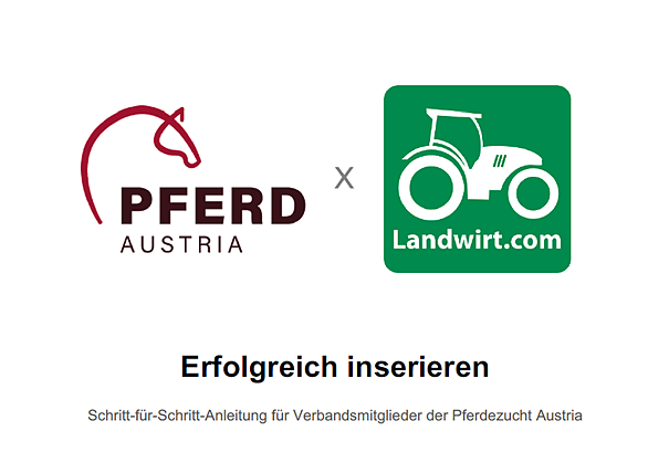 Bild1