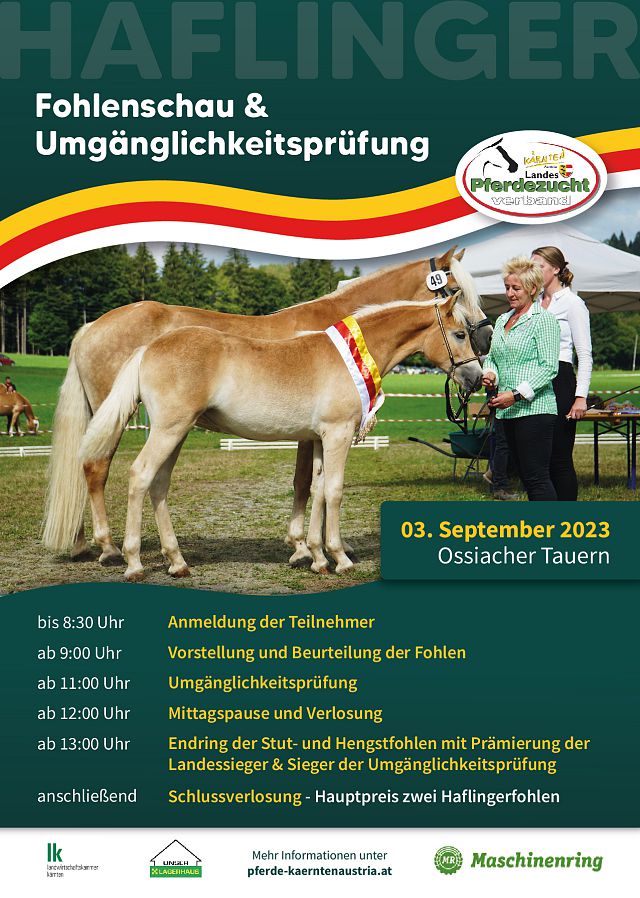 Plakat Fohlenschau 2019_1