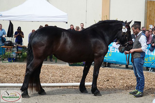 DSC09661