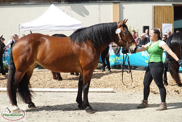 DSC00208