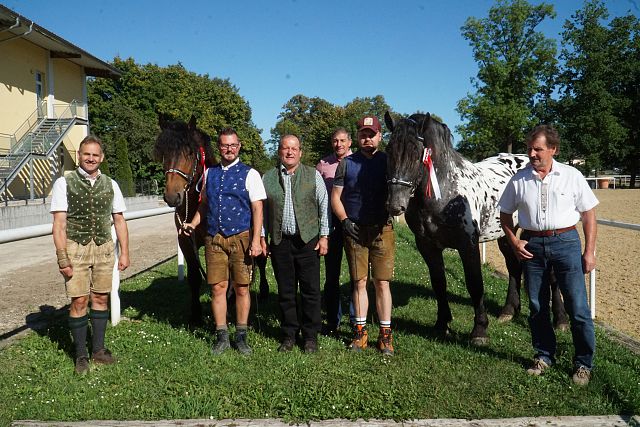 Körungssieger 2022 Walencio