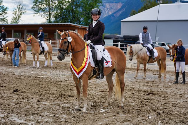 RP_Haflinger_2025-114