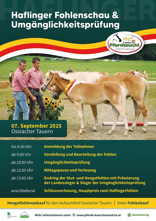 Ktn Ha Fohlenschau_2024-66