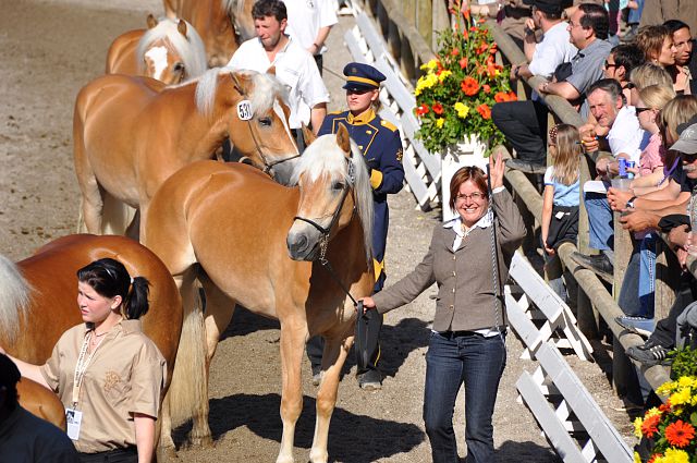 Hilea und wir bei der Haflingerweltausstellung 2010 - eine wunderschöne Zeit mit vielen Züchterfreunden