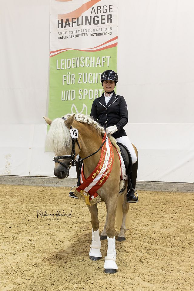 Hymera n. Sommerhit – 2. Bundesreservesiegerin dreijährige Reitpferde, B. Sylwia Nott, Straßburg (Viktoria Hainzl)