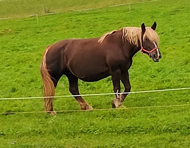 IMG_20260610_115100