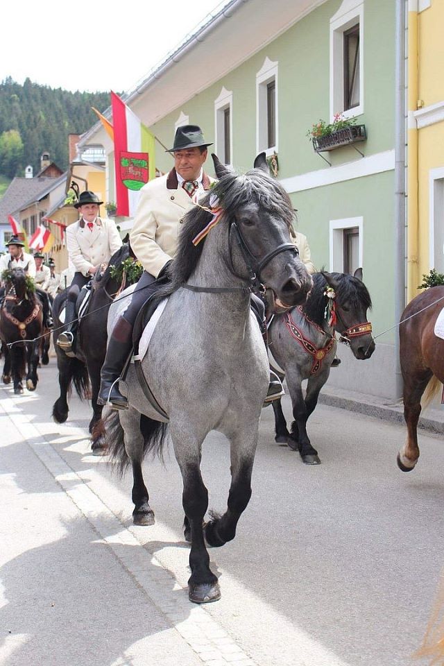 kranzelreiten-waldfee-st