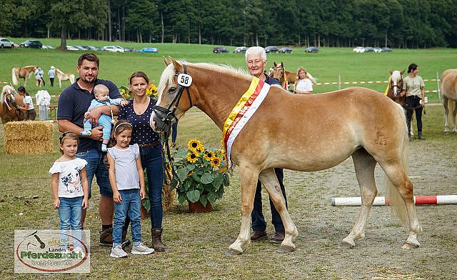 ktn-ha-fohlenschau-2024-48