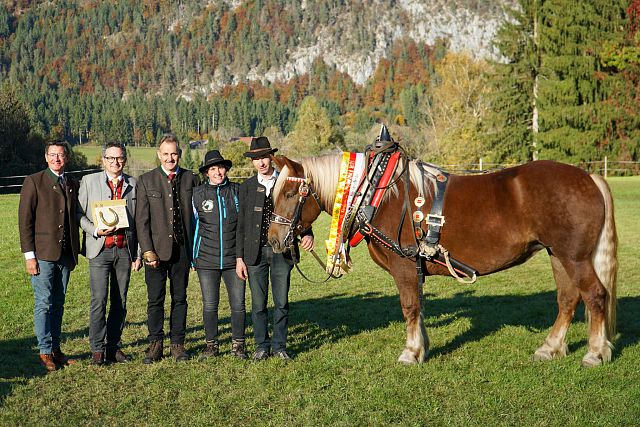 Leistungsprüfung_print-4_Lanz-Svenja