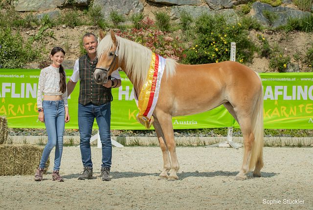 2. Landesreservesiegerstute Mon Cherie von Komm.Rat Karl Voitischek