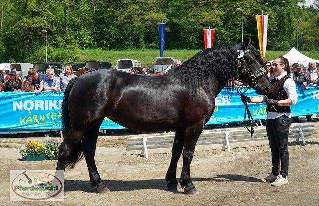 NO_LJS_2025-141