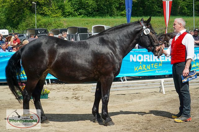 NO_LJS_2025-164