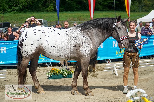 NO_LJS_2025-183