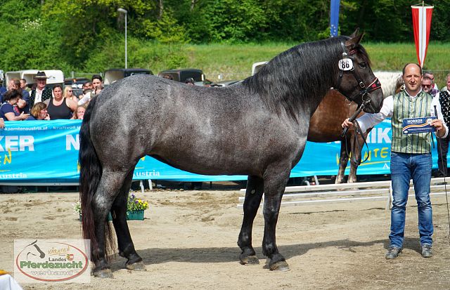 NO_LJS_2025-186