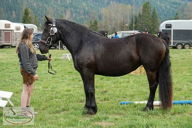 NO_STBA_Altenmarkt-41