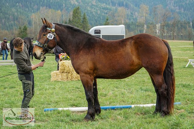 NO_STBA_Altenmarkt-42