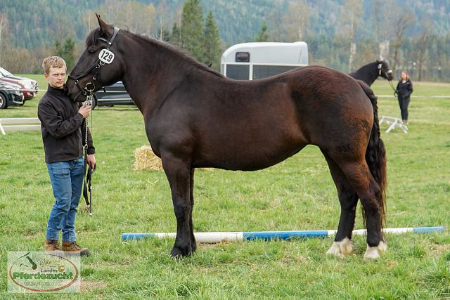 NO_STBA_Altenmarkt-46