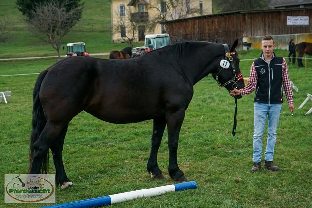 NO_STBA_Altenmarkt-38