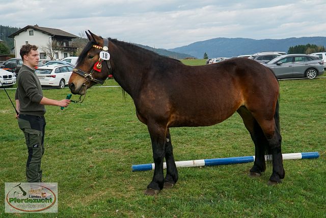 NO_STBA_Altenmarkt-39