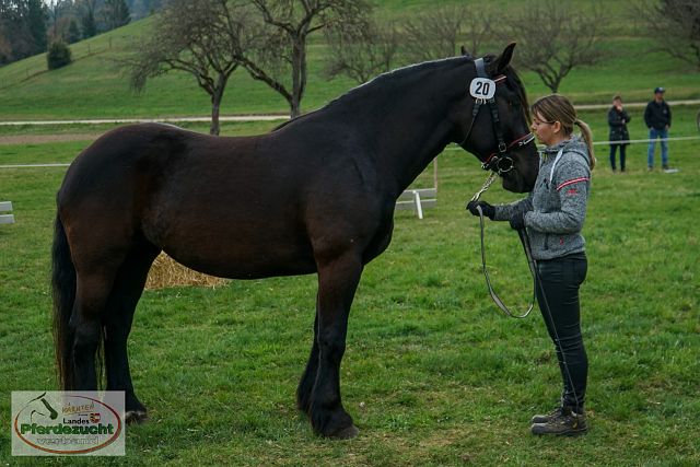 NO_STBA_Altenmarkt-40