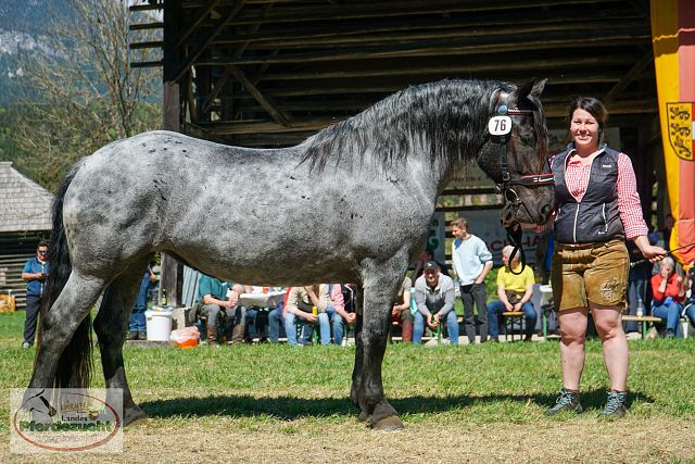 DSC07160