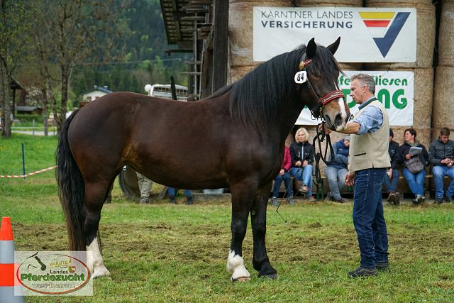 NO_STBA_Vorderberg-70