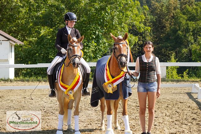 Walescano unter Tage