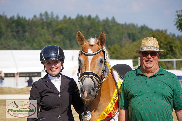 RP_Haflinger_2025-155