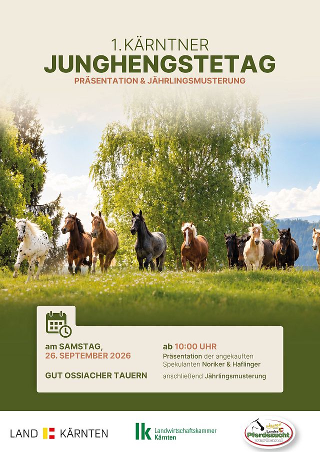 Screen_Kärntner Junghengsttag_Zeichenfläche 1_Zeichenfläche 1