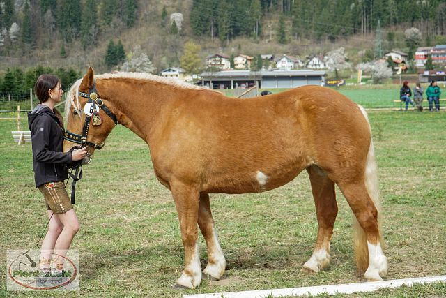 STBA_Döbriach_26-20