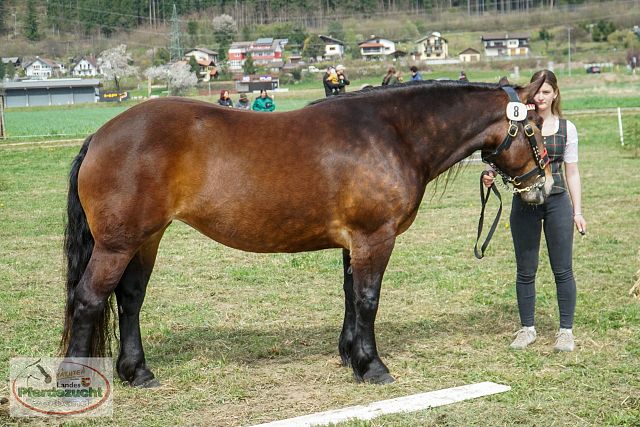 STBA_Döbriach_26-24