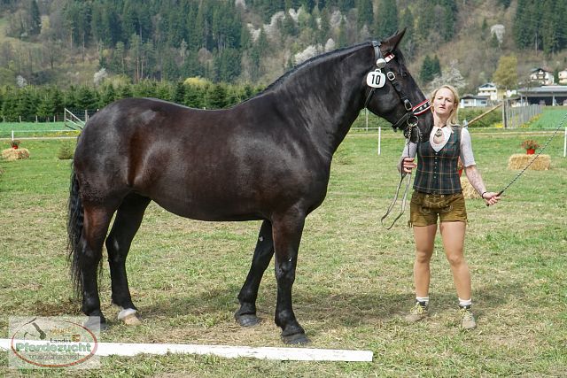 STBA_Döbriach_26-27