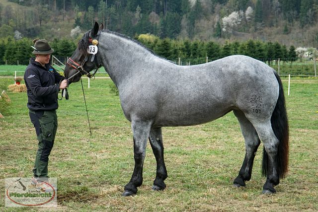 STBA_Döbriach_26-33