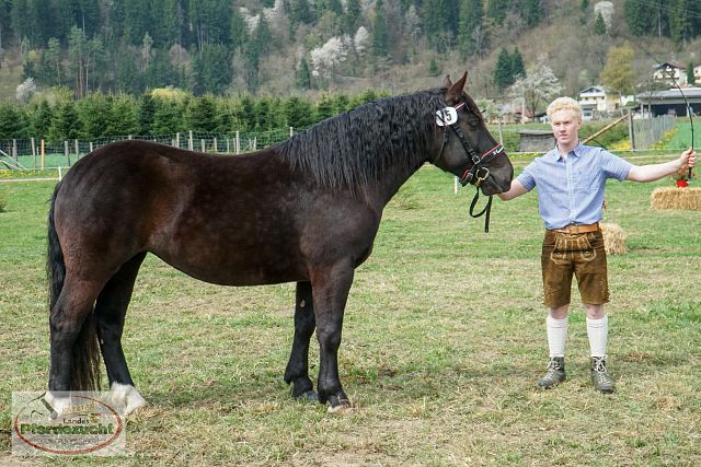 STBA_Döbriach_26-36