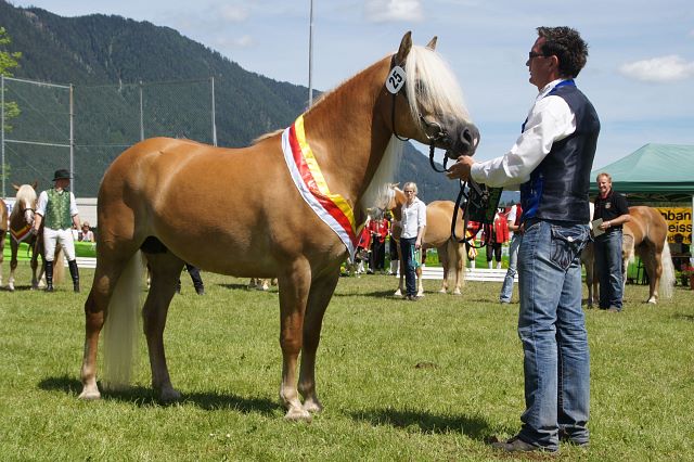 TESSINA 2011_Landesstutenschau_10