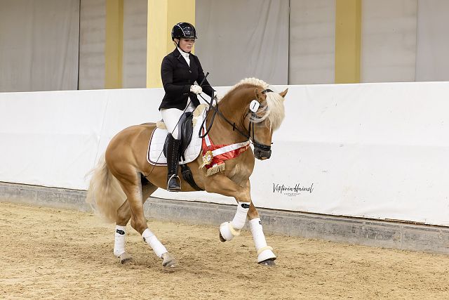 Waidblick n. Walescano – Bundessieger dreijährige Reitpferde, B. Janine Silvia Grafenauer, Bad Bleiberg (Viktoria Hainzl)