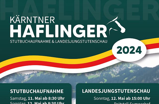 Haflinger Stutbuchaufnahme mit Landesjungstutenschau 2024