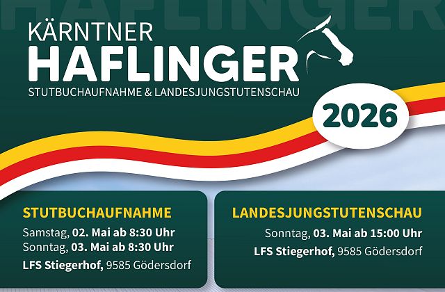 Haflinger Stutbuchaufnahme mit Landesjungstutenschau 2026